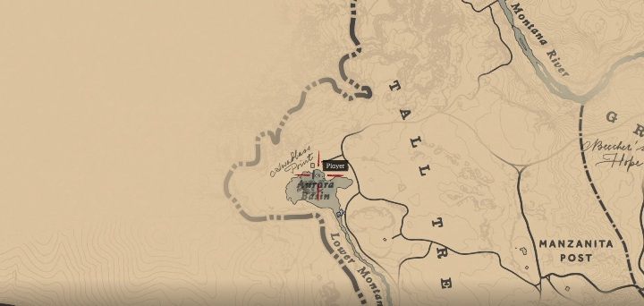 Ryba ta znajduje się we wschodniej części Tall Trees - Red Dead Redemption 2: Legendarny Bass czerwonooki - mapy, porady - Red Dead Redemption 2 - poradnik do gry