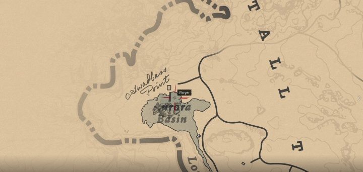 Ryba znajduje się w Aurora Basin - Red Dead Redemption 2: Legendarny Bass czerwonooki - mapy, porady - Red Dead Redemption 2 - poradnik do gry