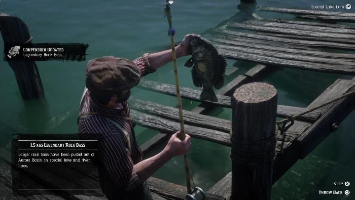 Legendarna ryba jest bardzo mała - Red Dead Redemption 2: Legendarny Bass czerwonooki - mapy, porady - Red Dead Redemption 2 - poradnik do gry