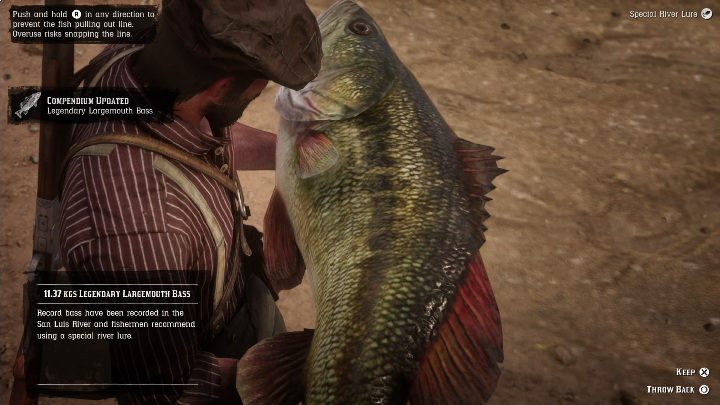 Ta legendarna ryba jest ogromna, nie możesz schować, więc jej do swojego wyposażenia - Red Dead Redemption 2: Legendarny Bass wielkogębowy - mapy, porady - Red Dead Redemption 2 - poradnik do gry