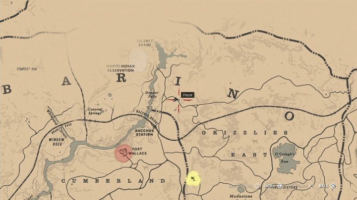 Jaskinię znajdziesz w regionie Ambarino, w zachodniej części lokacji przy rzece - Red Dead Redemption 2: Zagadka z dziwnymi posągami, porady - Red Dead Redemption 2 - poradnik do gry