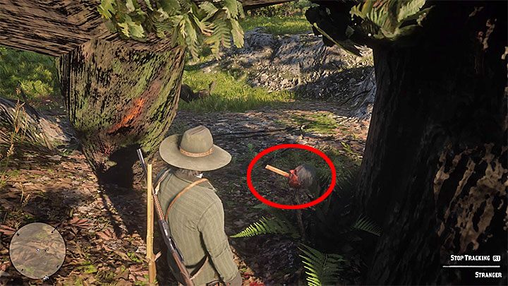 Obejdź drzewo dookoła, a odnajdziesz odciętą i nabitą na pal głowę z fragmentem zagadki pozostawionym przez zabójcę (Killer Clue Piece) - Red Dead Redemption 2: Amerykański sen - opis przejścia, mapa, porady - Red Dead Redemption 2 - poradnik do gry