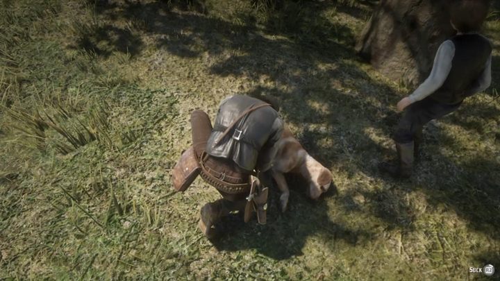 Gdy Jack odejdzie kawałek, idź za nim, a dotrzesz do Rufusa, którego ukąsił wąż - Red Dead Redemption 2: Ponowna próba - Solucja - Red Dead Redemption 2 - poradnik do gry