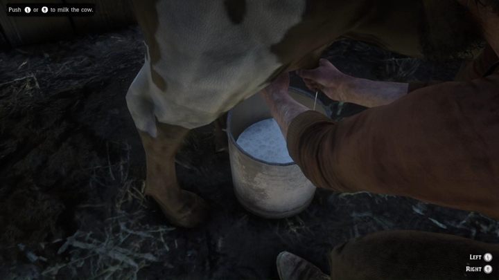Udaj się na miejsce i szybko napełnij wiadro mlekiem - Red Dead Redemption 2: Macierzyństwo - Solucja - Red Dead Redemption 2 - poradnik do gry