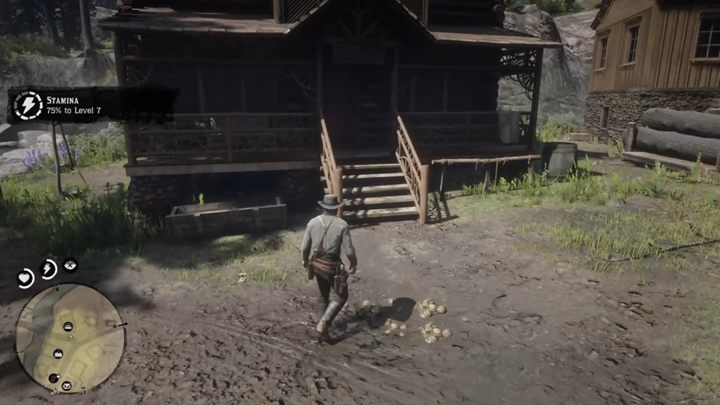 Jak odblokować misję: Po zakończeniu misji Macierzyństwo - Red Dead Redemption 2: Dochodowe zatrudnienie - Solucja - Red Dead Redemption 2 - poradnik do gry