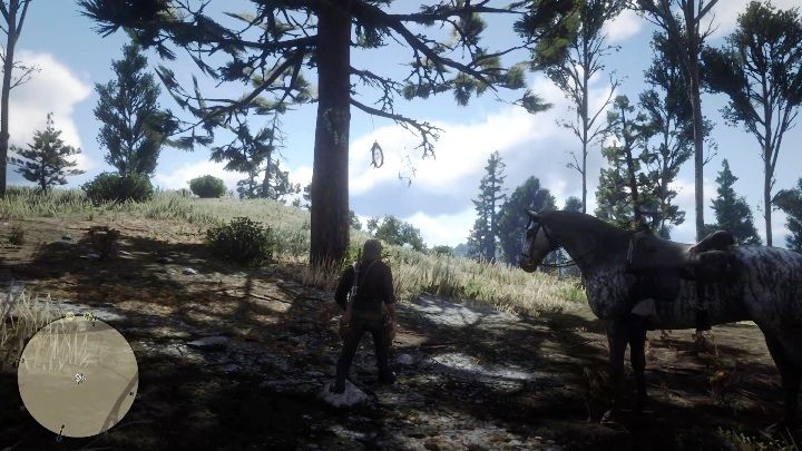 Ten łapacz snów znajdziesz na południowej części Ambarino, koło Cotorra Springs - Red Dead Redemption 2: Łapacze snów - lista, mapy, porady - Red Dead Redemption 2 - poradnik do gry