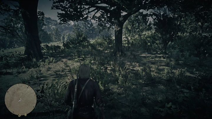 Ten łapacz snów znajdziesz nad The Heartlands - Red Dead Redemption 2: Łapacze snów - lista, mapy, porady - Red Dead Redemption 2 - poradnik do gry