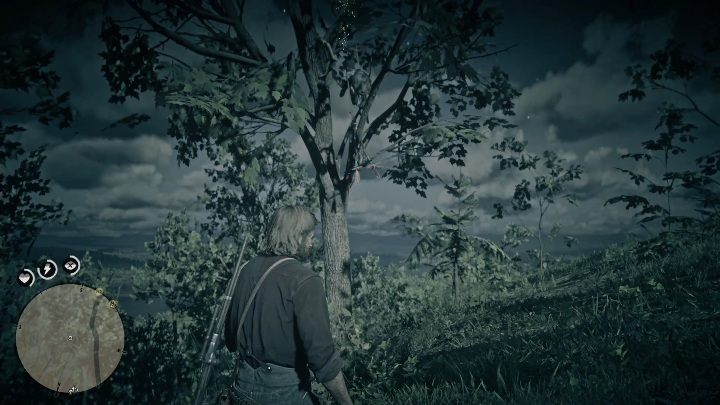 Ten łapacz snów znajduje się w południowej części Annesburga - Red Dead Redemption 2: Łapacze snów - lista, mapy, porady - Red Dead Redemption 2 - poradnik do gry