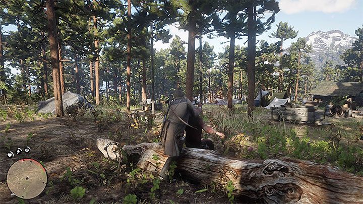 10 - Red Dead Redemption 2: Porady na start - Red Dead Redemption 2 - poradnik do gry