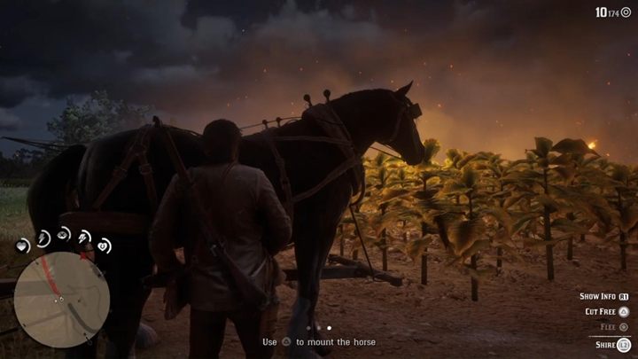 W końcu dotrzesz do wozu z końmi - wybierz je i skorzystaj z opcji uwolnienia ich - Red Dead Redemption 2: Uroki tytoniu - Solucja - Red Dead Redemption 2 - poradnik do gry