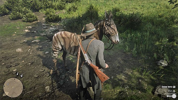 Zebra przebywa w niewielkiej odległości na zachód od rancza Emerald Ranch - Red Dead Redemption 2: Oczywiście jest Brytyjczykiem - opis przejścia, mapa - Red Dead Redemption 2 - poradnik do gry