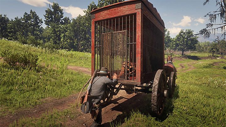 Musisz teraz zwabić do wozu prawdziwego kuguara - Red Dead Redemption 2: Oczywiście jest Brytyjczykiem - opis przejścia, mapa - Red Dead Redemption 2 - poradnik do gry