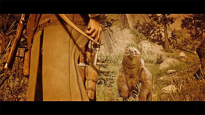 Z odnalezieniem legendarnego niedźwiedzia powiązana jest jedna z misji fabularnych drugiego rozdziału gry - Koniec i ucieczka przed urażonym ego - Red Dead Redemption 2: Legendarny niedźwiedź - jak zabić? - Red Dead Redemption 2 - poradnik do gry