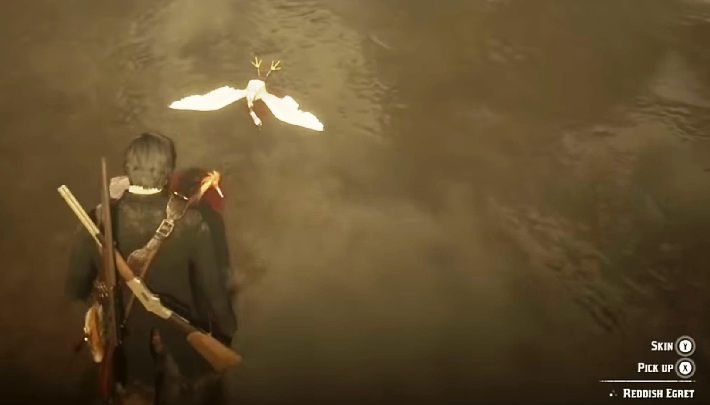5 Snowy Egret Plumes - na terenie zaznaczonym na screenie powyżej powinieneś natrafić na czaple śnieżne - Red Dead Redemption 2: Egzotyczne przedmioty - zlecenia, porady - Red Dead Redemption 2 - poradnik do gry