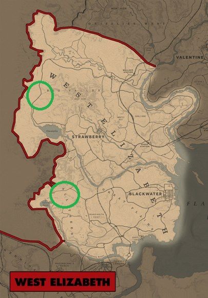 7 Lady Slipper Orchids:- to kwiaty z różowymi płatkami - Red Dead Redemption 2: Egzotyczne przedmioty - zlecenia, porady - Red Dead Redemption 2 - poradnik do gry