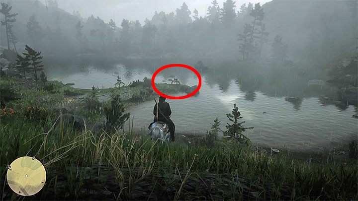 Protezę ma przy sobie należący do weterana koń Buell - Red Dead Redemption 2: Weteran - opis przejścia, mapa, porady - Red Dead Redemption 2 - poradnik do gry