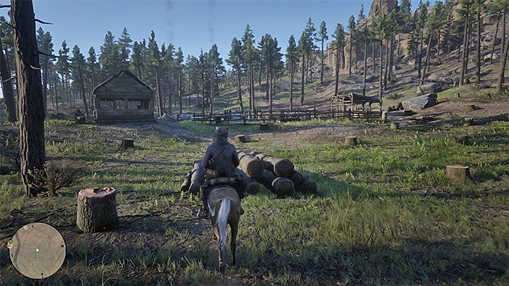 Lokacja ta dotyczy fragmentu lasu gdzie prowadzona jest wycinka drzew - Red Dead Redemption 2: Unikalne lokacje z drobnymi zadaniami - opis przejścia - Red Dead Redemption 2 - poradnik do gry