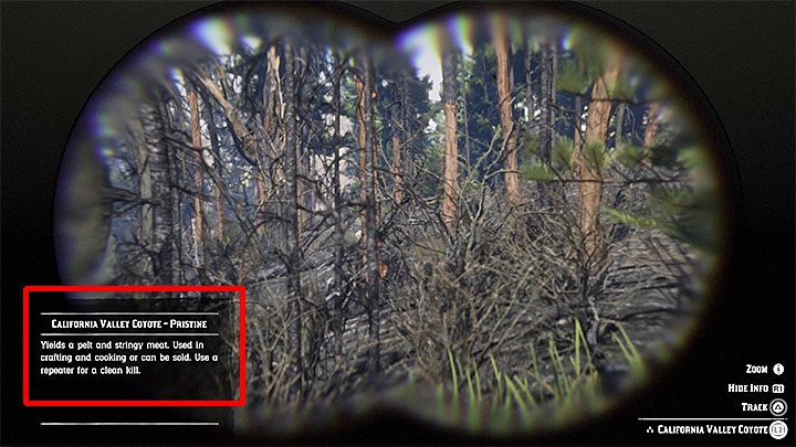 Pozyskanie skóry perfekcyjnej jakości nie jest łatwym zadaniem, albowiem musisz spełnić kilka specyficznych wymagań żeby zagwarantować sobie szansę - Red Dead Redemption 2: Skóry zwierząt - jak zdobyć najlepsze, perfekcyjne? - Red Dead Redemption 2 - poradnik do gry