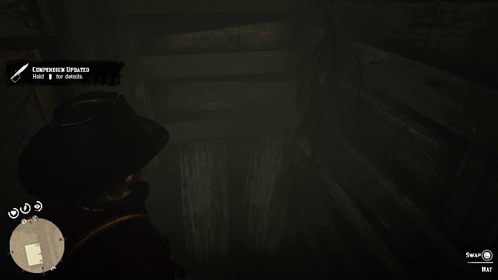 11 - Red Dead Redemption 2: Unikalne przedmioty do zdobycia - lista wszystkich - Red Dead Redemption 2 - poradnik do gry