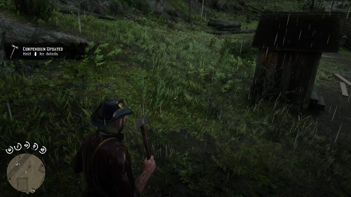 Topór ten wbity jest w pień drzewa - Red Dead Redemption 2: Unikalne przedmioty do zdobycia - lista wszystkich - Red Dead Redemption 2 - poradnik do gry