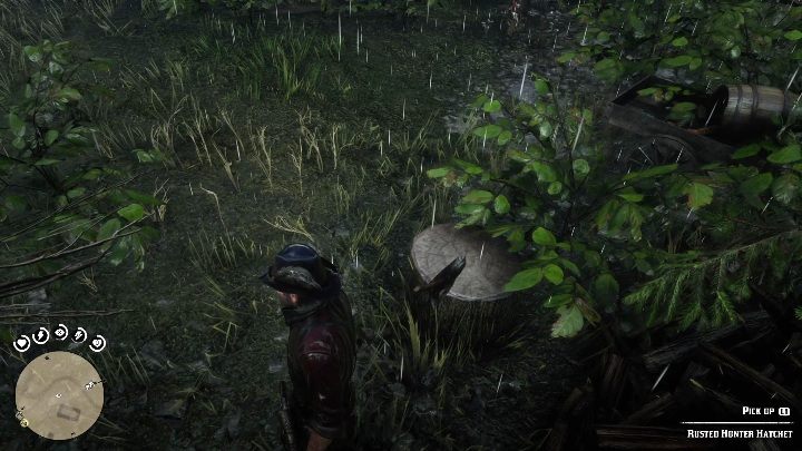 19 - Red Dead Redemption 2: Unikalne przedmioty do zdobycia - lista wszystkich - Red Dead Redemption 2 - poradnik do gry