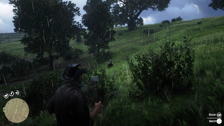 21 - Red Dead Redemption 2: Unikalne przedmioty do zdobycia - lista wszystkich - Red Dead Redemption 2 - poradnik do gry