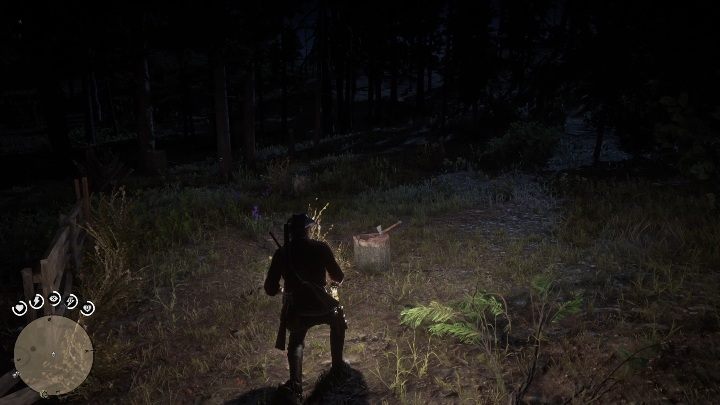 30 - Red Dead Redemption 2: Unikalne przedmioty do zdobycia - lista wszystkich - Red Dead Redemption 2 - poradnik do gry