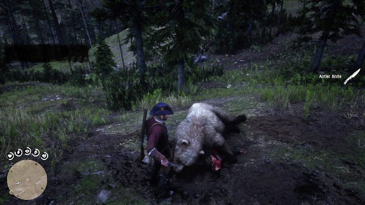 Koło zwłok niedźwiedzia znajduje się Antler Knife - Red Dead Redemption 2: Unikalne przedmioty do zdobycia - lista wszystkich - Red Dead Redemption 2 - poradnik do gry