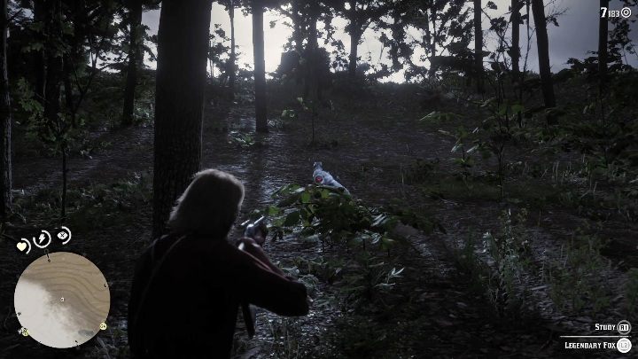 Na lista wystarczy udać się z łukiem, a nawet pistoletem - Red Dead Redemption 2: Legendarny lis - mapy, porady - Red Dead Redemption 2 - poradnik do gry