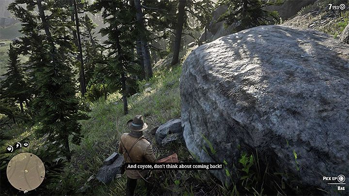 Porozmawiaj z Masonem, który wykonuje zdjęcia zwierzętom - Red Dead Redemption 2: Arkadia dla amatorów - opis przejścia, mapa, porady - Red Dead Redemption 2 - poradnik do gry