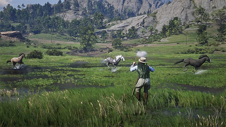 Wskocz na wierzchowca bohatera i wyrusz w oznaczone miejsce - Red Dead Redemption 2: Arkadia dla amatorów - opis przejścia, mapa, porady - Red Dead Redemption 2 - poradnik do gry