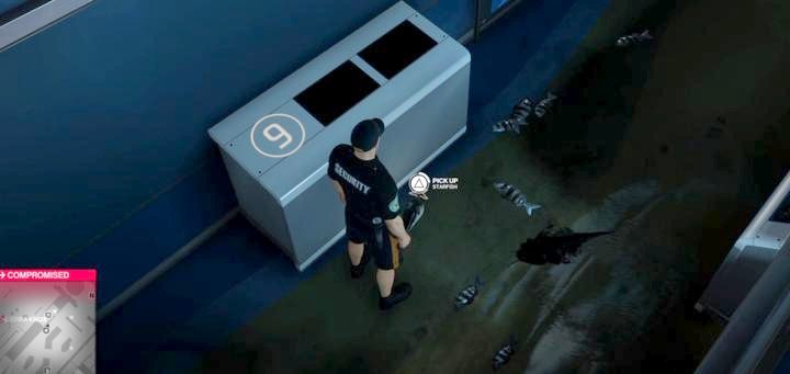Rozgwiazda - akwarium 6 - Wyzwania: eksploracje w misji Linia Mety (Miami) | Hitman 2 - Hitman 2 - poradnik do gry