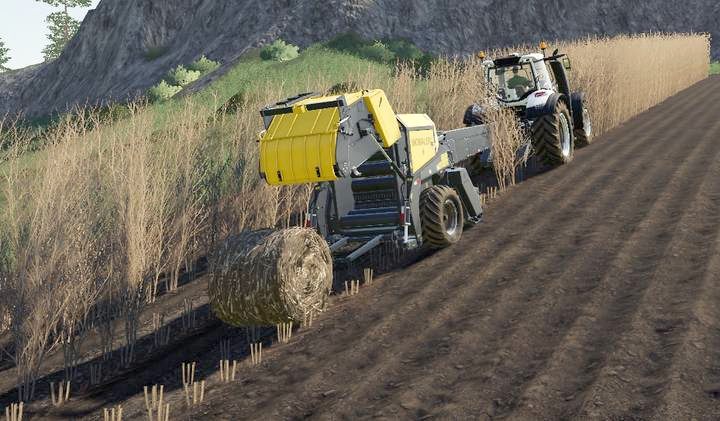 Przy odpowiedniej precyzji będziesz w stanie zbierać jednocześnie dwa pasy topoli - Farming Simulator 19: Anderson Group Equipment Pack - Farming Simulator 19 - poradnik do gry