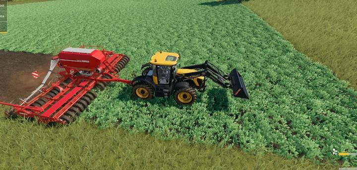 Rzodkiew oleista - Farming Simulator 19: Zboża - uprawa, porady - Farming Simulator 19 - poradnik do gry