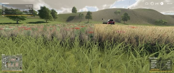 Chwasty na polu mogą wyrosnąć w dowolnym momencie - Farming Simulator 19: Zboża - uprawa, porady - Farming Simulator 19 - poradnik do gry