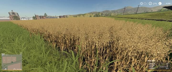 Zbiór każdej rośliny odbywa się, gdy uzyska ona ostatnią fazę wzrostu - przybiera wtedy charakterystyczny żółtawy kolor - Farming Simulator 19: Zboża - uprawa, porady - Farming Simulator 19 - poradnik do gry