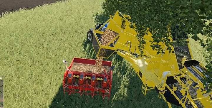 Sadzarkę napełnisz ziemniakami z poprzedniego zbioru - Farming Simulator 19: Rośliny okopowe - uprawa, porady - Farming Simulator 19 - poradnik do gry