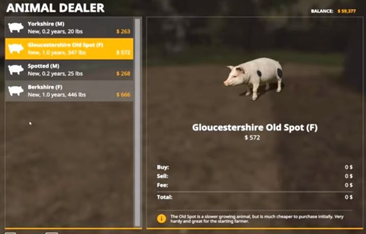 Świnie hodujemy tylko po to, by sprzedać je na mięso - Farming Simulator 19: Seasons 19 - Zwierzęta, hodowla - Farming Simulator 19 - poradnik do gry