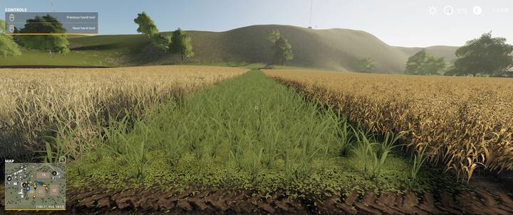 Pole przed połączeniem - Farming Simulator 19: Powiększenie, połączenie pola - jak? - Farming Simulator 19 - poradnik do gry