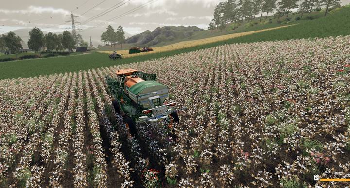 W Farming Simulator 19 pojawia się wiele nowych opcji hodowli i upraw: np. bawełna - Farming Simulator 19 - poradnik do gry