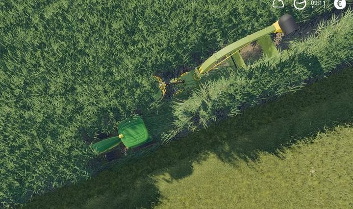 Trzcina to jedna z najwydajniejszych upraw - wymaga jednak sporo pracy - Farming Simulator 19: Co uprawiać na początku gry? - Farming Simulator 19 - poradnik do gry