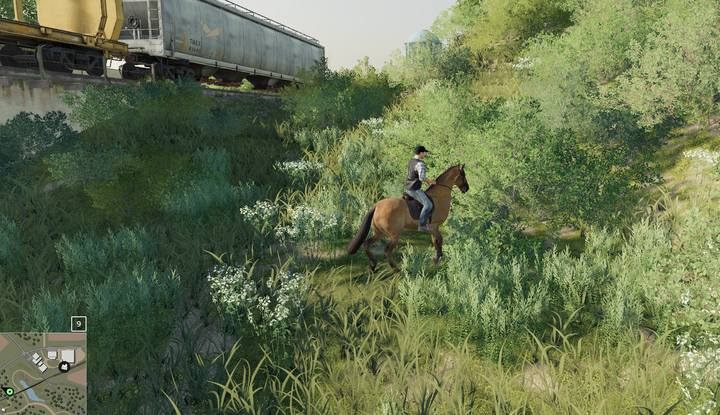 Jazdę na koniu potraktuj jako konieczność / rozrywkę lub doglądaj w tym czasie innych swoich inwestycji i pól - Farming Simulator 19: Konie - hodowla - Farming Simulator 19 - poradnik do gry