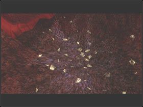 2 - Pokój 507 | Post Mortem - Post Mortem - poradnik do gry