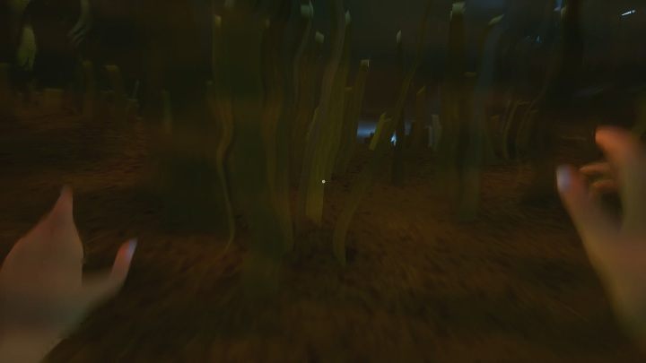 Twój brat nie może również pływać - Co robi brat i jak przed nim uciekać w Hello Neighbor Hide and Seek? - Hello Neighbor Hide and Seek - poradnik do gry