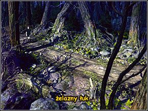 2 - Las rabusiów - cz.1 | Thorgal Klątwa Odyna - Thorgal Klątwa Odyna - poradnik do gry