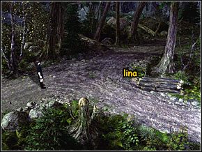 3 - Las rabusiów - cz.1 | Thorgal Klątwa Odyna - Thorgal Klątwa Odyna - poradnik do gry