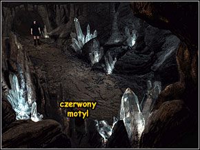 2 - Kraina Cieni - cz.2 | Thorgal Klątwa Odyna - Thorgal Klątwa Odyna - poradnik do gry