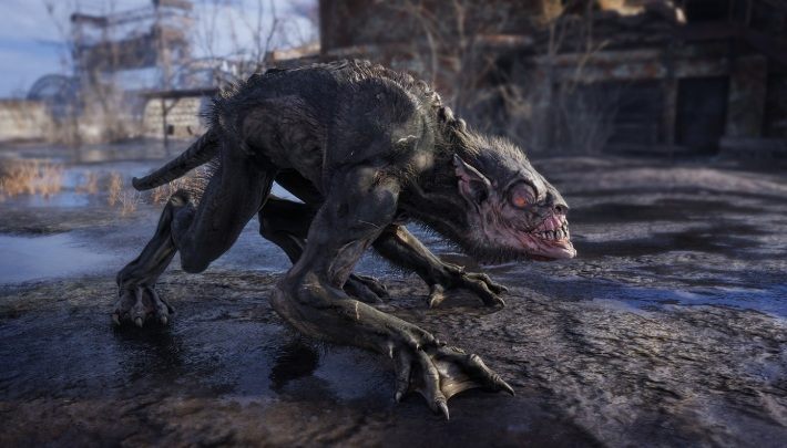 Wygląd: to mutant poruszający się na czterech kończynach - Metro Exodus: Mutanci i przeciwnicy - Metro Exodus - poradnik do gry