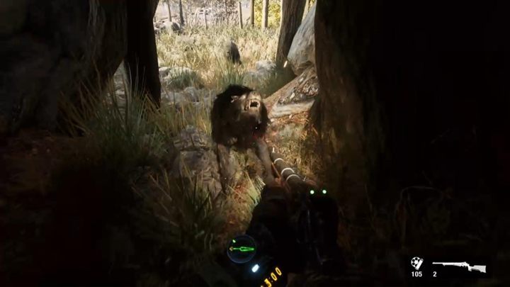 Wygląd: po prostu jak wilk - Metro Exodus: Mutanci i przeciwnicy - Metro Exodus - poradnik do gry