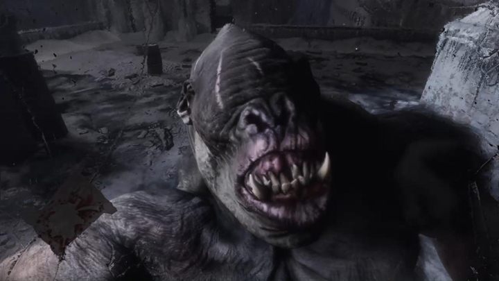 Wygląd: ślepe, zmutowane goryle - Metro Exodus: Mutanci i przeciwnicy - Metro Exodus - poradnik do gry